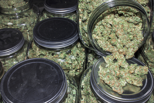 marijuana in glass jars