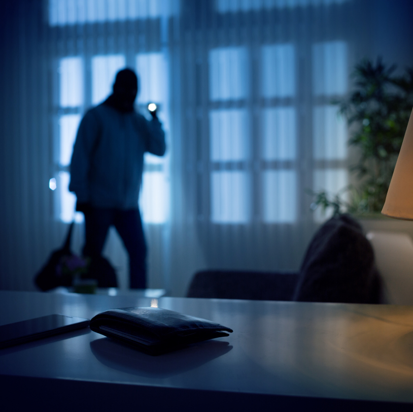 Burglar in home